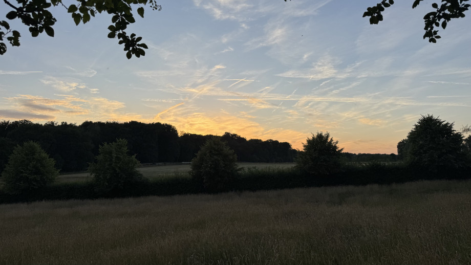 IMG_7010.jpeg