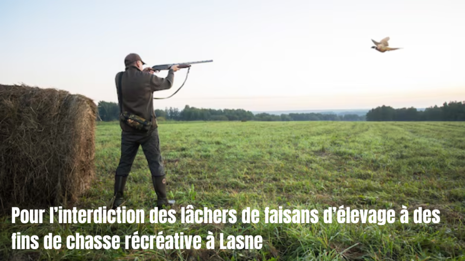 Pour_l’interdiction_(1)1.png