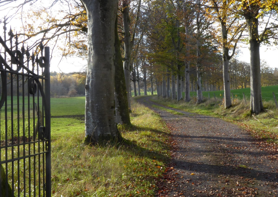 Villemont_-_automne_2020_-_recadré_.jpg